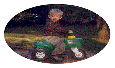 Tractor.gif (25828 bytes)